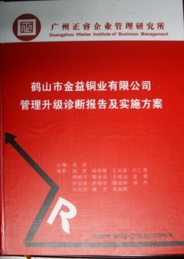 廣益集團(tuán)管理升級(jí)診斷報(bào)告及實(shí)施方案 廣益集團(tuán)管理升級(jí)診斷報(bào)告及實(shí)施方案