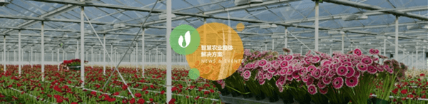 深圳市朗文科技實業(yè)有限公司 深圳市朗文科技實業(yè)有限公司