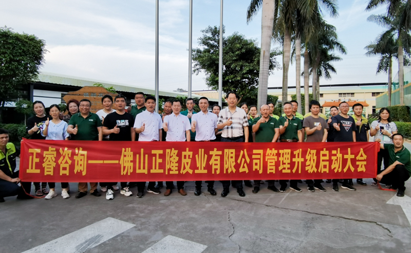 助力皮革行業(yè)再樹標(biāo)桿——正隆皮業(yè)全面管理升級項目啟動！