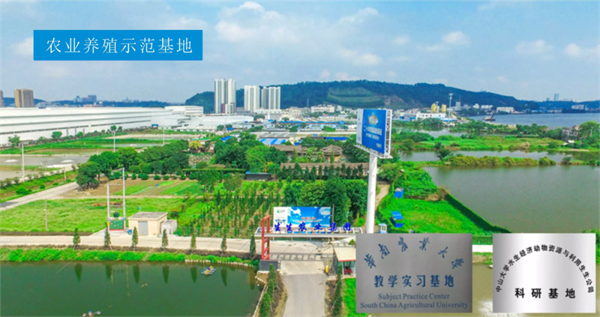 生生農(nóng)業(yè)集團股份有限公司戰(zhàn)略梳理&組織規(guī)劃項目啟動 生生農(nóng)業(yè)集團股份有限公司戰(zhàn)略梳理&組織規(guī)劃項目啟動