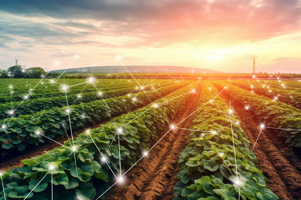 「咨詢公司」供應鏈管理的目的和意義是什么？