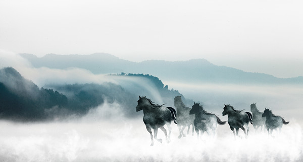 企業(yè)戰(zhàn)略規(guī)劃：為企業(yè)制定全面、長遠(yuǎn)的發(fā)展戰(zhàn)略