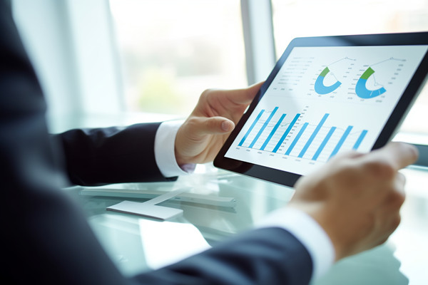 年度業(yè)務(wù)拓展計(jì)劃：多元發(fā)展，全面增長(zhǎng)