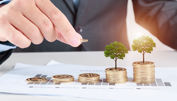 戰(zhàn)略選擇:根據(jù)市場(chǎng)環(huán)境選擇戰(zhàn)略方向和發(fā)展路徑 戰(zhàn)略選擇:根據(jù)市場(chǎng)環(huán)境選擇戰(zhàn)略方向和發(fā)展路徑