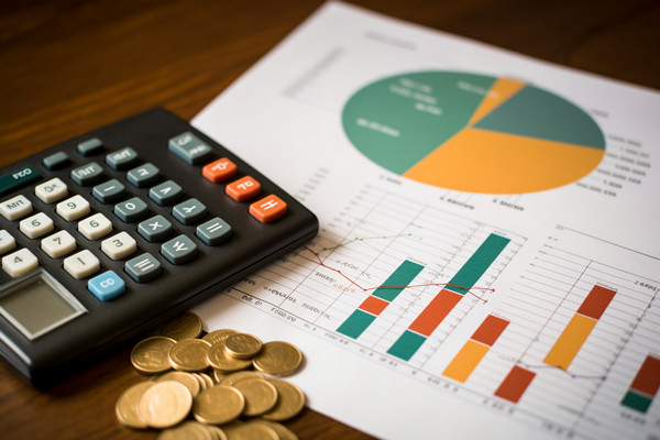 強(qiáng)化集團(tuán)管控：財(cái)務(wù)，人力資源，信息技術(shù)的整合