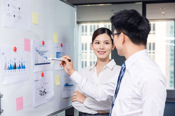 組織咨詢：協(xié)助企業(yè)制定組織發(fā)展戰(zhàn)略，推動(dòng)組織成長(zhǎng)