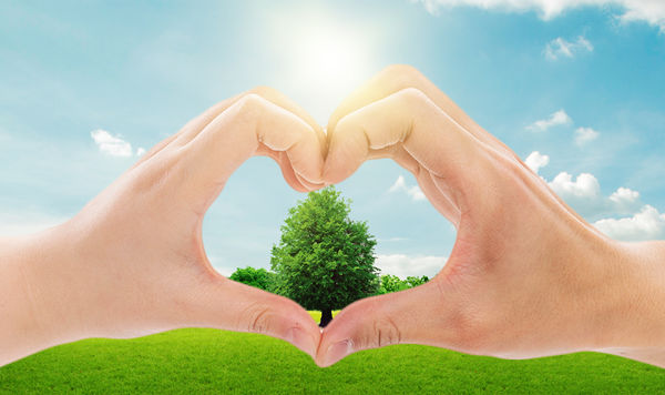 年度可持續(xù)發(fā)展計(jì)劃：綠色發(fā)展，共享價(jià)值