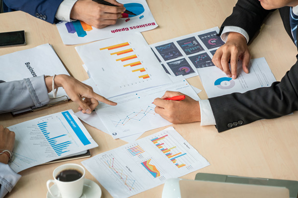 集團管控：構建一體化管理體系，引領企業(yè)走向卓越