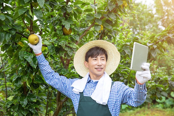 數(shù)字化營(yíng)銷(xiāo):利用數(shù)字技術(shù)制定精準(zhǔn)營(yíng)銷(xiāo)策略 數(shù)字化營(yíng)銷(xiāo):利用數(shù)字技術(shù)制定精準(zhǔn)營(yíng)銷(xiāo)策略