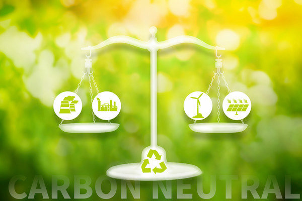 綠色經(jīng)濟中的企業(yè)戰(zhàn)略:低碳發(fā)展的路徑 綠色經(jīng)濟中的企業(yè)戰(zhàn)略:低碳發(fā)展的路徑