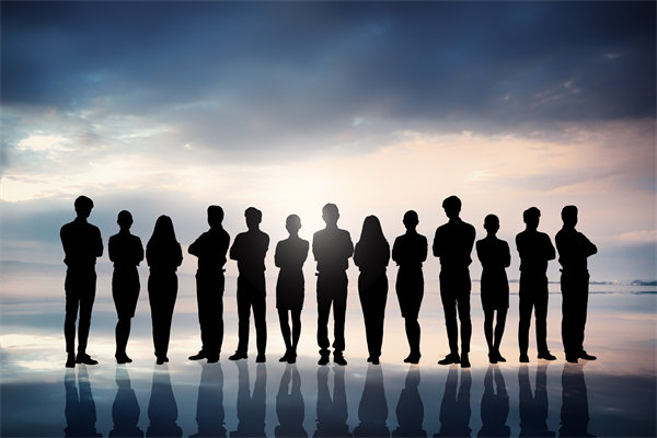 優(yōu)化組織結(jié)構(gòu)，提升協(xié)作效能，助推組織發(fā)展新高度