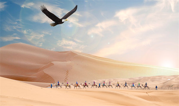 集團管控升級迭代，激發(fā)企業(yè)活力，實現(xiàn)持續(xù)領(lǐng)先