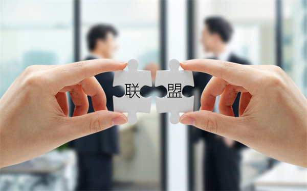 戰(zhàn)略聯(lián)盟與合作：強(qiáng)強(qiáng)聯(lián)手，共創(chuàng)未來