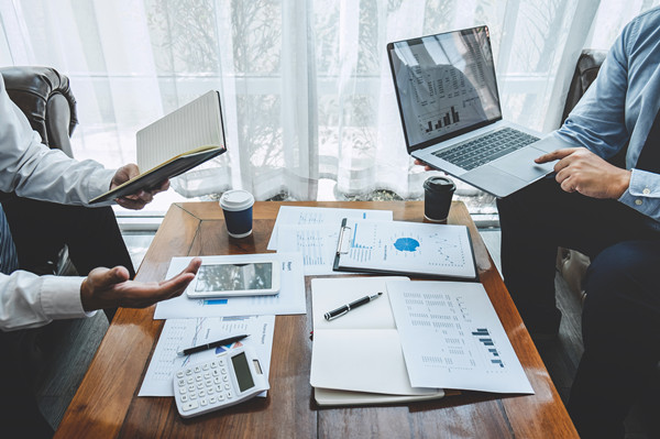 立足戰(zhàn)略大局，提供專業(yè)咨詢，助力企業(yè)騰飛