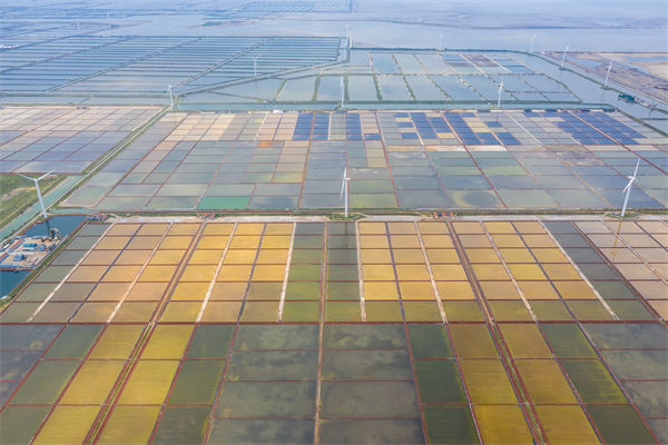 濰坊制造業(yè)招工難留人更難，濰坊人力資源咨詢公司如何破局用工困局？