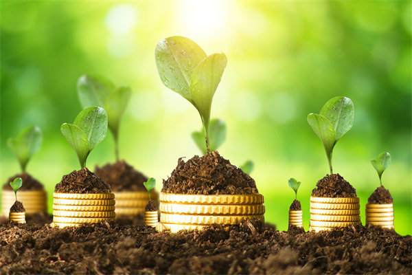 預(yù)算管理咨詢公司如何幫助企業(yè)破解資金錯(cuò)配問(wèn)題？