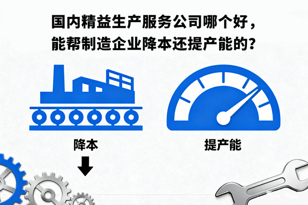 國(guó)內(nèi)精益生產(chǎn)服務(wù)公司哪個(gè)好，能幫制造企業(yè)降本還提產(chǎn)能的？