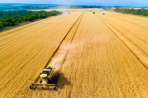 農(nóng)業(yè)行業(yè)供應(yīng)鏈管理咨詢公司推薦，能解農(nóng)資采購(gòu)成本高問(wèn)題嗎？